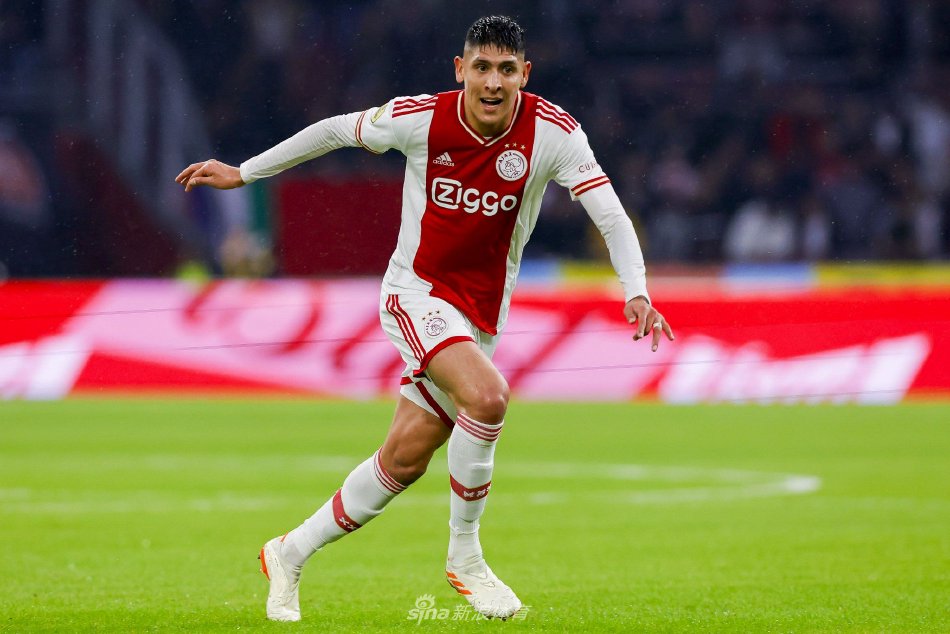 他们采用了 他们采用了